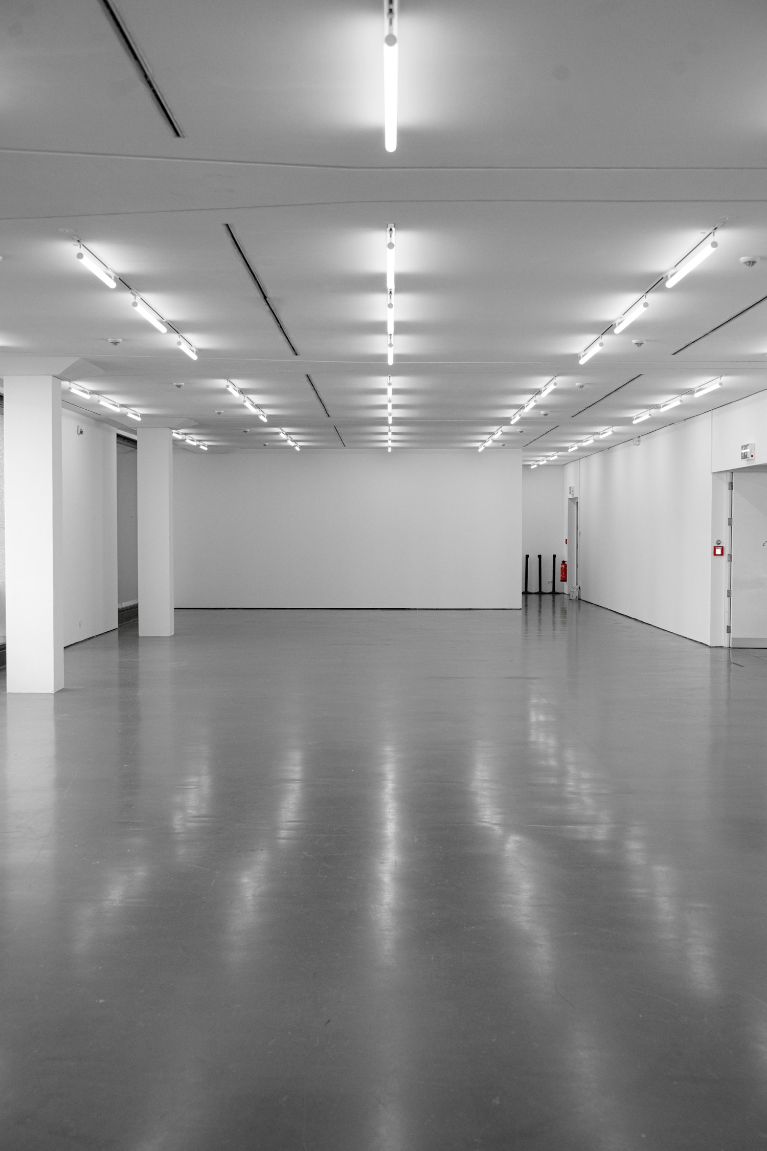 Bright commercial space with polished concrete flooring